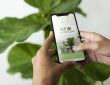 Eco-Friendly Digital Products That Are Gaining Popularity